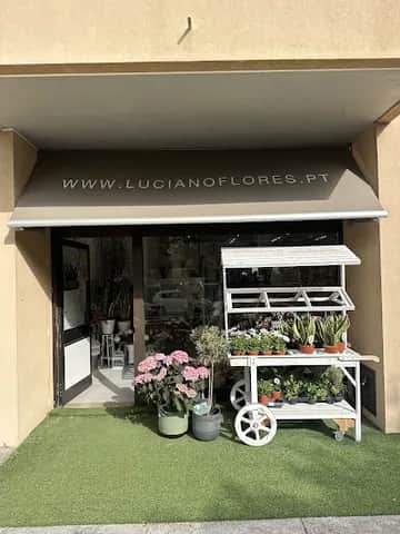 Luciano Florista, Oporto