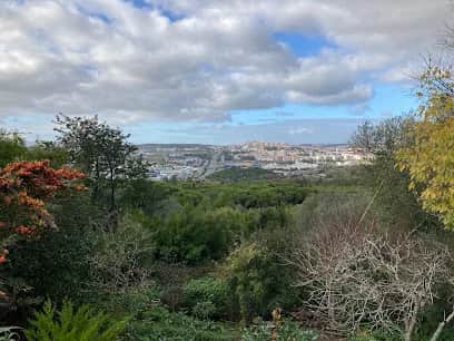 Miradouro de Montes Claros, 里斯本