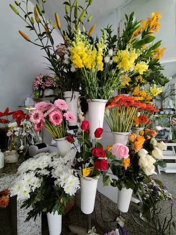 Florista, Lissabon