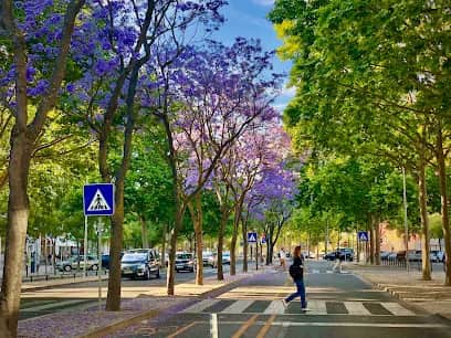 Jardim dos Jacarandás, 里斯本