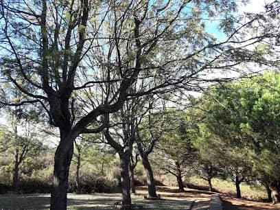 Parque Roberto Nobre, Lissabon