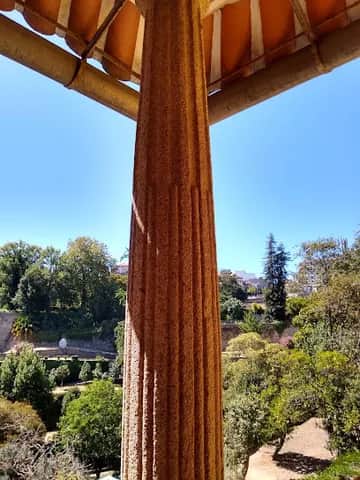 Árvore, Porto