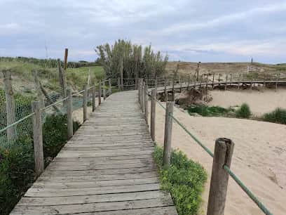 Parque das Dunas da Aguda, Porto