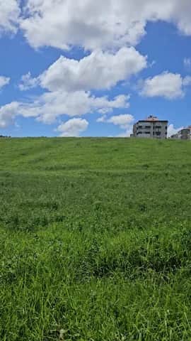 Jardim Ferreira de Mira, 里斯本