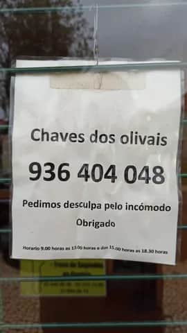 Chaves dos Olivais, Lissabon