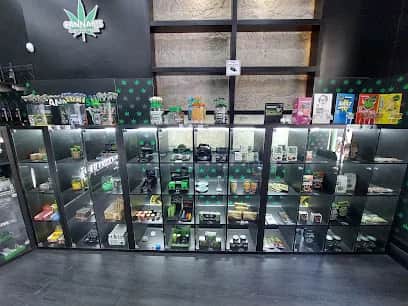 Cannabis Store Amsterdam, Oporto