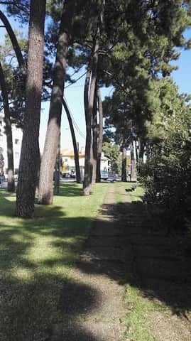 O Caixinha, Lissabon