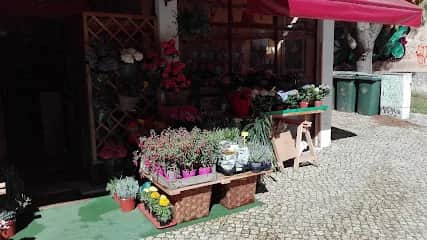 Jardim de Telheiras, 里斯本