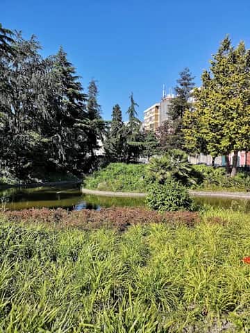 Jardim do Campo 24 de Agosto, Porto