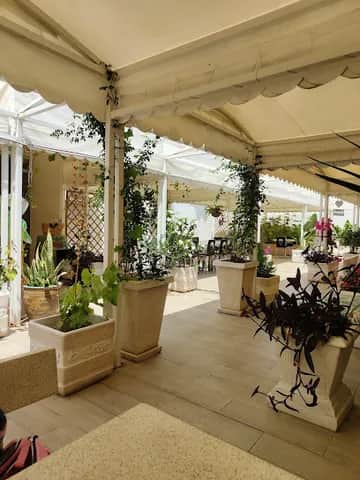 Mundi Green House, 里斯本