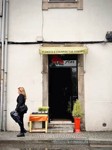 Minó Flor, ポルト