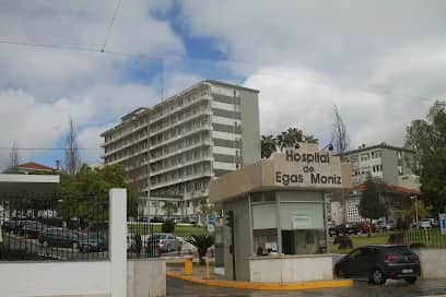 Egas Moniz, Lissabon