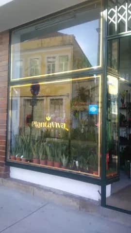 PlantaViva, Porto